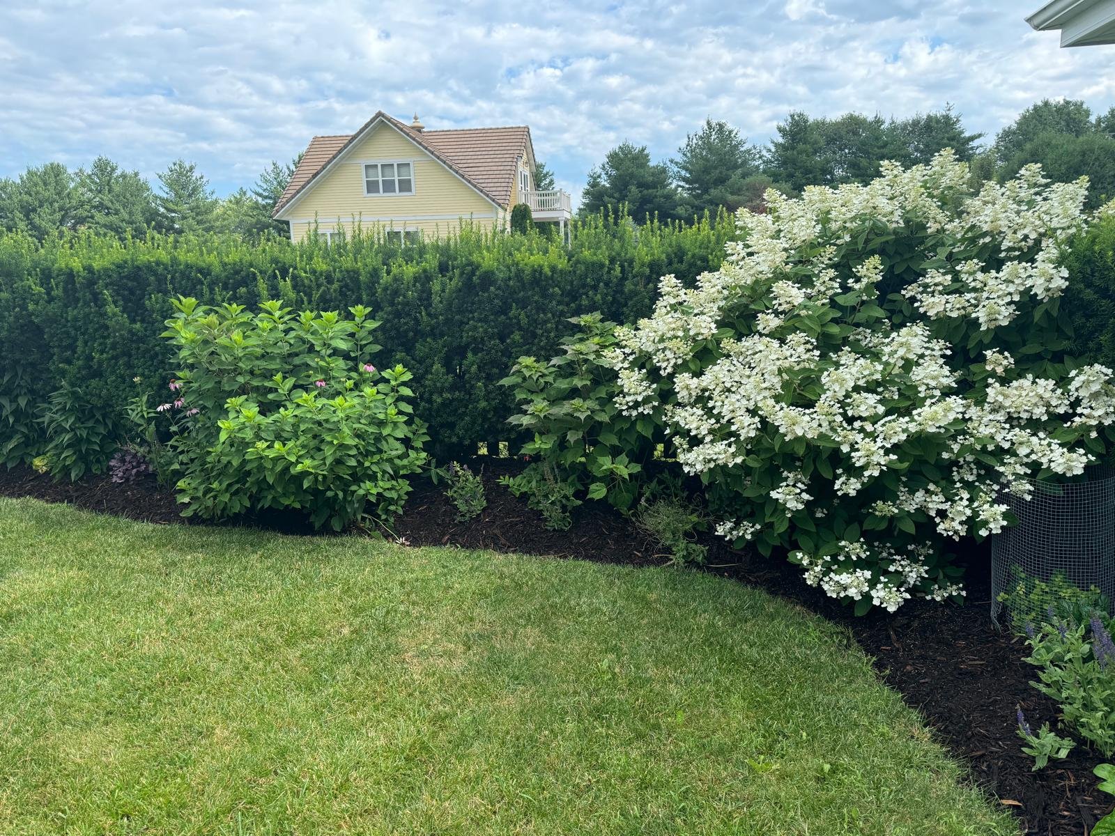 Jorge's Lawn and Landscaping LLC (109)