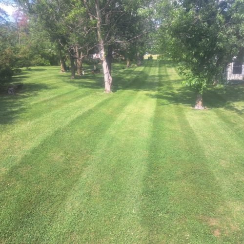 Jorge's Lawn and Landscaping LLC (20)