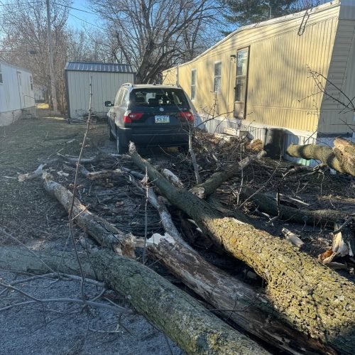 Jorge's Lawn and Landscaping LLC (97)
